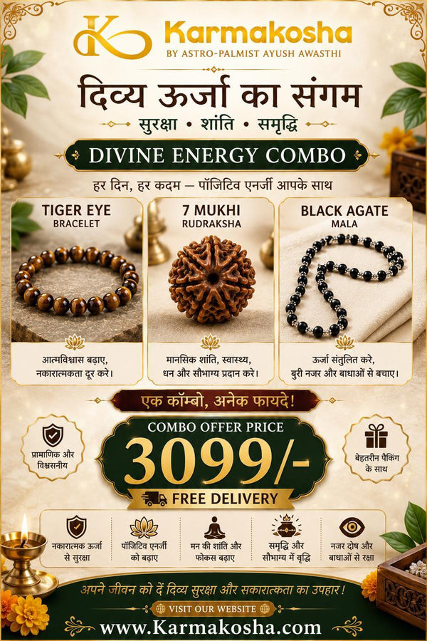 Tiger Eye Bracelet+ 7 Mukhi Rudraksha Bracelet + Black Agate Mala