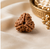 3 Mukhi Rudraksha (Nepali)- Big size with X-ray report