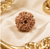 6 Mukhi Rudraksha (Nepali)- Big size with X-ray report