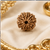 9 Mukhi Rudraksha (Nepali)- Big size with X-ray report