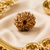 10 Mukhi Rudraksha (Nepali)- Big size with X-ray report