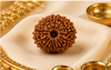17 Mukhi Rudraksha (Nepali)- Big size with X-ray report