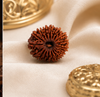 18 Mukhi Rudraksha (Nepali)- Big size with X-ray report