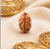 2 Mukhi Rudraksha (Nepali)- Big size with X-ray report