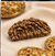 1 Mukhi Rudraksha (Nepali)- Big size with X-ray report